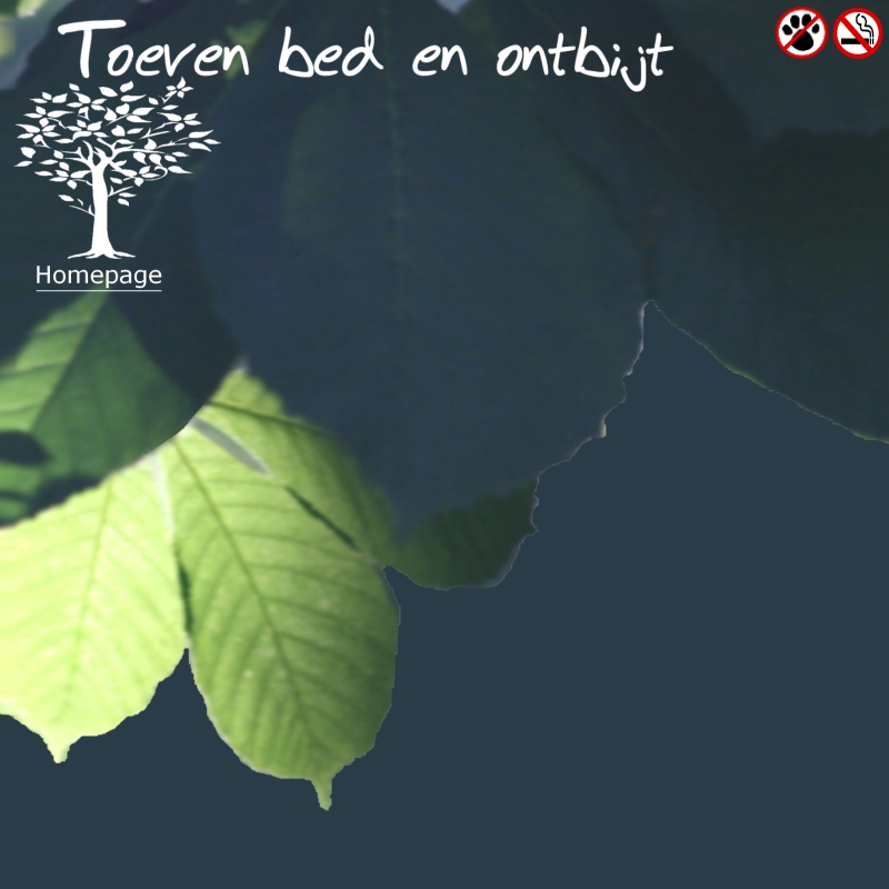 background picture of Toeven unique boutique hotel and b&b in Utrecht city centre serving a full organic breakfast